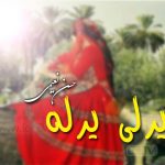 دانلود آهنگ لری یرلی یرله حسن نعیمی