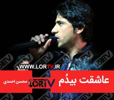 دانلود آهنگ عاشقت بیدُم از محسن احمدی